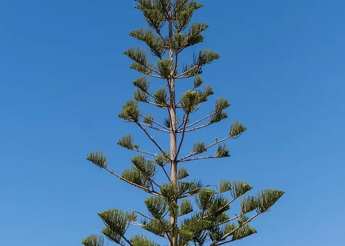 Διαμέρισμα Andys House Χανιά